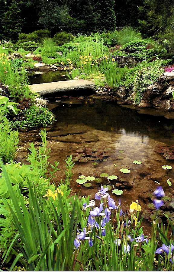 St James Long Island, NY Residence Koi Pond with lily pads by Emil Kreye & Son, Inc.